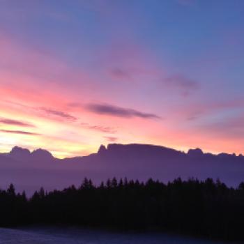 "Der Wald ist das Wohnzimmer von uns allen, das man behüten muss." (Barbara Plunger Untermarzoner) - (c) Peter Dippold 