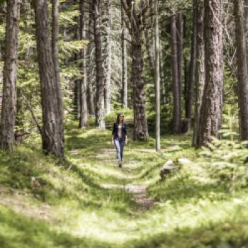 "Der Wald ist das Wohnzimmer von uns allen, das man behüten muss." (Barbara Plunger Untermarzoner) - (c) Hotel Tann