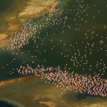 Die faszinierende, von den Armen des Po durchzogene Landschaft lässt sich von Frühsommer bis in den Herbst hinein bei Bootsausflügen erleben - (c) Ferrara Terrae Acqua