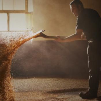 Balvenie Distillery - Dem Whisky auf der Spur - Genussreise nach Schottland im September 2024
