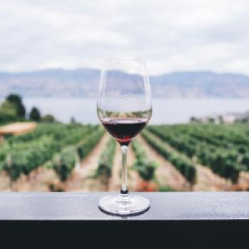 in Weinurlaub in Südtirol ist eine kulinarische Genussreise - (c) Kym Ellis auf Unsplash.jpg