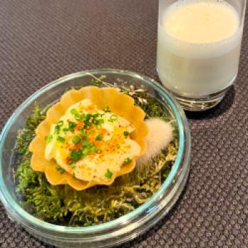 Thorsten Hauk lässt in der Villa Mittermeier einen Michelin-Stern über Rotheburg ob der Tauber erstrahlen - (c) Gabi Dräger