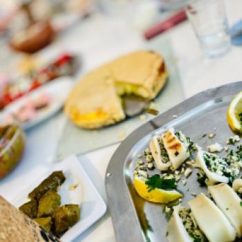 Gefüllte Kalamari mit Portulaksalat - (c) Barbara Basteck