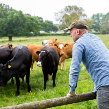 Im Intervies erklärt uns Berend te Voortwis, Gründer von KaufneKuh, das Konzept , die Herausforderung und Ziele - <a href="https://www.kaufnekuh.de/de/?invite=genussfreak10" target="_blank">Weitere Informationen und Bestellmöglichkeit</a> - (c) Kauf ne Kuh