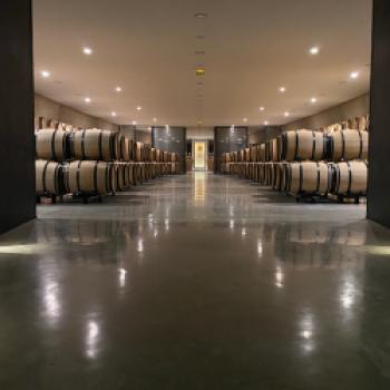 Wein aus dem Bordeaux - (c) Thomas Rentschler