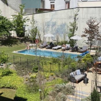 Grüne Oase im Garten von Hotel Mercure Porto Centro Aliados - (c) Eva-Maria Mayring
