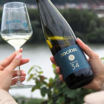 Das Weingut Mohr in Lorch im Rheingau, hier findet man die wohl ältesten Reben auf der hessischen Seite des Rheins - (c) Jörg Bornmann