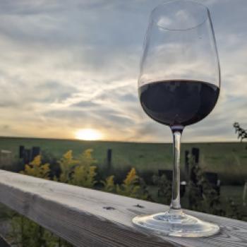 100 Jahre Rioja: Spaniens bedeutendste Herkunftsbezeichnung feiert Jubiläum - (c) Carola Faber