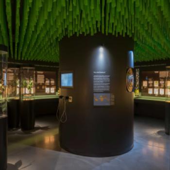 Das Botanikum im Gewürzmuseum Kulmbach - (c) Burgenstrasse