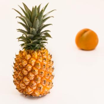Ananas/Aprikose (hier kann man den Apfelessig sehr gut durch Kokosessig ersetzen und bekommt so eine asiatische Note) - (c) pixabay/stevepg