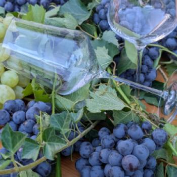 Die Weinregion Südtirol lebt von Kontrasten – genau daraus zieht es seine Kraft - (c) Carola Faber