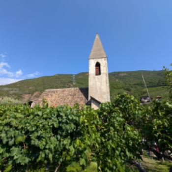 Die Weinregion Südtirol lebt von Kontrasten – genau daraus zieht es seine Kraft - (c) Carola Faber