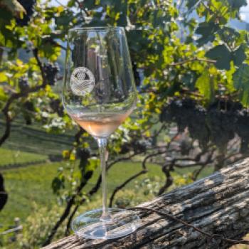 Die Weinregion Südtirol lebt von Kontrasten – genau daraus zieht es seine Kraft - (c) Carola Faber