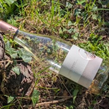 Die Weinregion Südtirol lebt von Kontrasten – genau daraus zieht es seine Kraft - (c) Carola Faber
