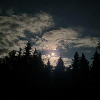 Eine stille Nacht erlebt man bei einer Sternenwanderung im Biosphärenpark Salzburger Lungau - (c) Gabi Vögele