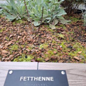 Die Chiemgau Thermen in Bad Endorf sind ein echtes Juwel, ein kuscheliger Rückzugsort an trüben Tagen - (c) Ulrike Engel