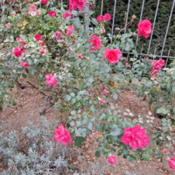 Die Chiemgau Thermen in Bad Endorf sind ein echtes Juwel, ein kuscheliger Rückzugsort an trüben Tagen - (c) Ulrike Engel