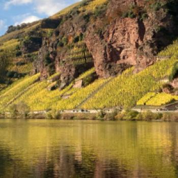 Eine der traditionsreichsten Weinregionen Deutschlands, die Mosel, lockt bereits in den nächsten Monaten mit zwei außergewöhnlichen Weinevents - (c) Vision Mosel