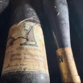 Eine der traditionsreichsten Weinregionen Deutschlands, die Mosel, lockt bereits in den nächsten Monaten mit zwei außergewöhnlichen Weinevents - (c) Weingut der Vereinigten Hospitien