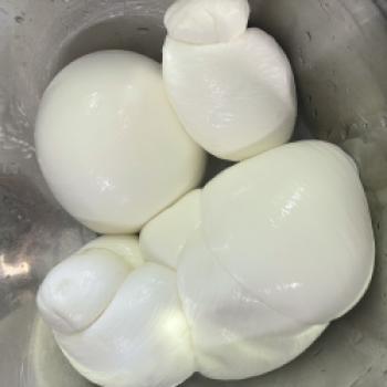 ... und frischer Mozarella Zöpfe - (c) Hannelore Fisgus