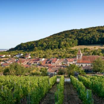 Mythos Mosel - 480 Magnumflaschen für die Eröffnungsparty - (c) Weinland Mosel