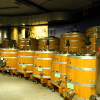 Am 11. und 12. April 2026 ist es wieder soweit: Einer der schönsten Termine im Weinjahr steht bevor. Das Weingut Alois Lageder lädt zur SUMMA ein - (c) Jörg Bornmann