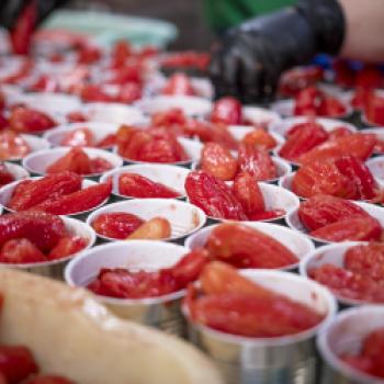 Die San-Marzano-Tomate DOP – warum viele Köche auf diesen Klassiker setzen - (c) Consorzio di Tutela del Pomodoro San Marzano DOP 
