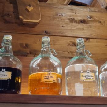 Weißer Rausch und Haubenküche - In St. Anton am Arlberg kommen Wintersportler und Feinschmecker auf ihre Kosten - (c) Gabi Vögele