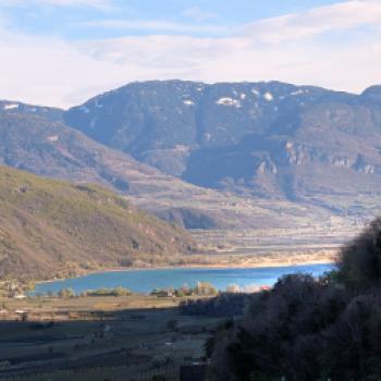 Zwischen Tradition und Frische: Der Kalterersee zeigt Profil - (c) Carola Faber