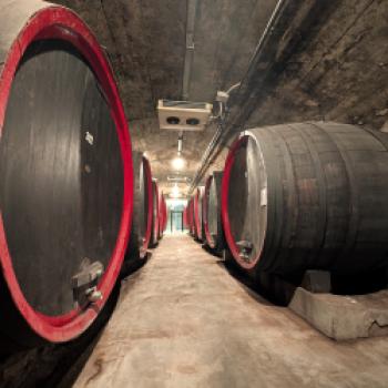 Zwischen Tradition und Frische: Der Kalterersee zeigt Profil - (c) Carola Faber