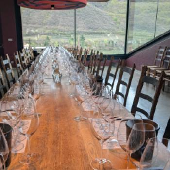 Zwischen Tradition und Frische: Der Kalterersee zeigt Profil - (c) Carola Faber