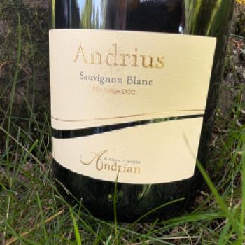 Zwei Terroirs, eine Vision - 70 Jahre Sauvignon-Kompetenz - (c) Carola Faber