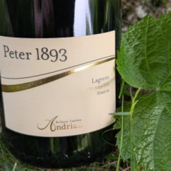 Zwei Terroirs, eine Vision - 70 Jahre Sauvignon-Kompetenz - (c) Carola Faber