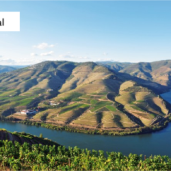 Genussvolle Reise mit Sommelier Jörg Bornmann an Bord der DOURO QUEEN - (c) nicko cruises