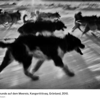 (c) Ragnar Axelsson