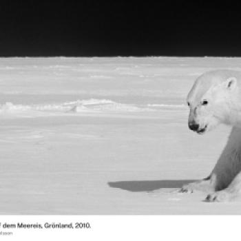 (c) Ragnar Axelsson