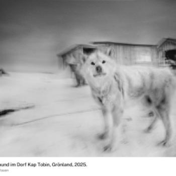 (c) Ragnar Axelsson