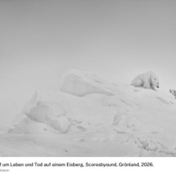 (c) Ragnar Axelsson
