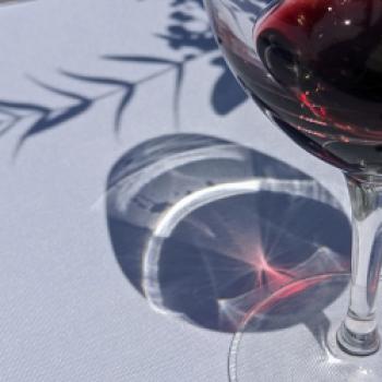 Herbst in Rioja: Wenn Weinlandschaften zwischen Reben, Architektur und Genuss zur Bühne werden - (c) Carola Faber