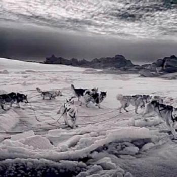 „Ragnar Axelsson. Greenland“: Ausstellung im Kunstfoyer der Versicherungskammer Kulturstiftung macht die Arktis als Brennpunkt von Klimawandel, Geopolitik und Energiewende sichtbar - (c) Gabi Dräger