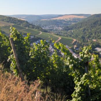 Wo die Ruwer den Ton angibt  An der Ruwer entsteht Wein unter anspruchsvollen Bedingungen - (c) Carola Faber