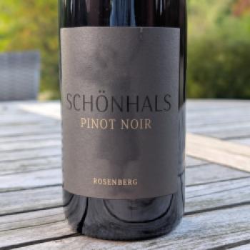 Weingut Schönhals – Der Natur ihren Rhythmus lassen - (c) Carola Faber