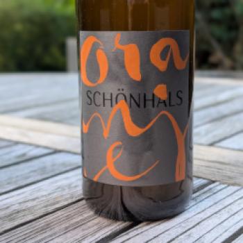 Weingut Schönhals – Der Natur ihren Rhythmus lassen - (c) Carola Faber