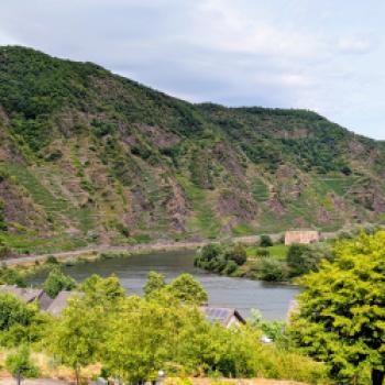 DER RING Mosel, die Steillagen des Calmonts - (c) Carola Faber