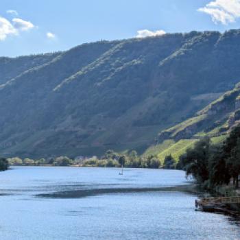DER RING Mosel, bei Piesport - (c) Carola Faber