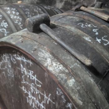DER RING Mosel, im Keller vom Kanzlerhof - (c) Carola Faber