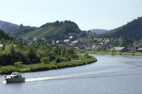  Steile Lagen, tolle Weine - Eine Weinreise entlang die Mosel  - (c) Deutsches Weininstitut