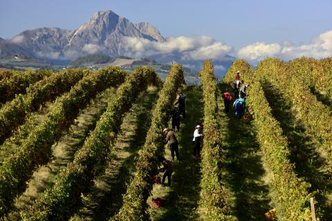 Grandi Vini d‘Abruzzo am 2. Oktober 2019 in München - (c) Consorzio Vini d’Abruzzo