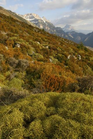 Aragón – Die Natur fühlen, riechen, essen und trinken ein Bericht von Gabi Dräger - (c) Instituto de Turismo de España (TURESPAÑA) Aragón – Die Natur fühlen, riechen, essen und trinken ein Bericht von Gabi Dräger - (c) Instituto de Turismo de España (TURESPAÑA)