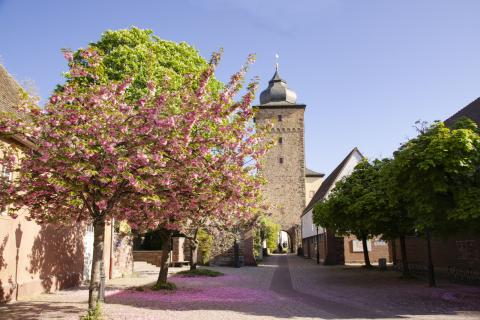 Karlsruhe – mmmhhhs für alle! - Karlsruher Wochenmärkte bieten viele Produkte aus der Region - (c) Karlsruhe Tourismus GmbH/Foto Düpper Karlsruhe – mmmhhhs für alle! - Karlsruher Wochenmärkte bieten viele Produkte aus der Region - (c) Karlsruhe Tourismus GmbH/Foto Düpper